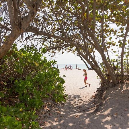 Castle Beach: Rumba Suite ไมอามีบีช ภายนอก รูปภาพ